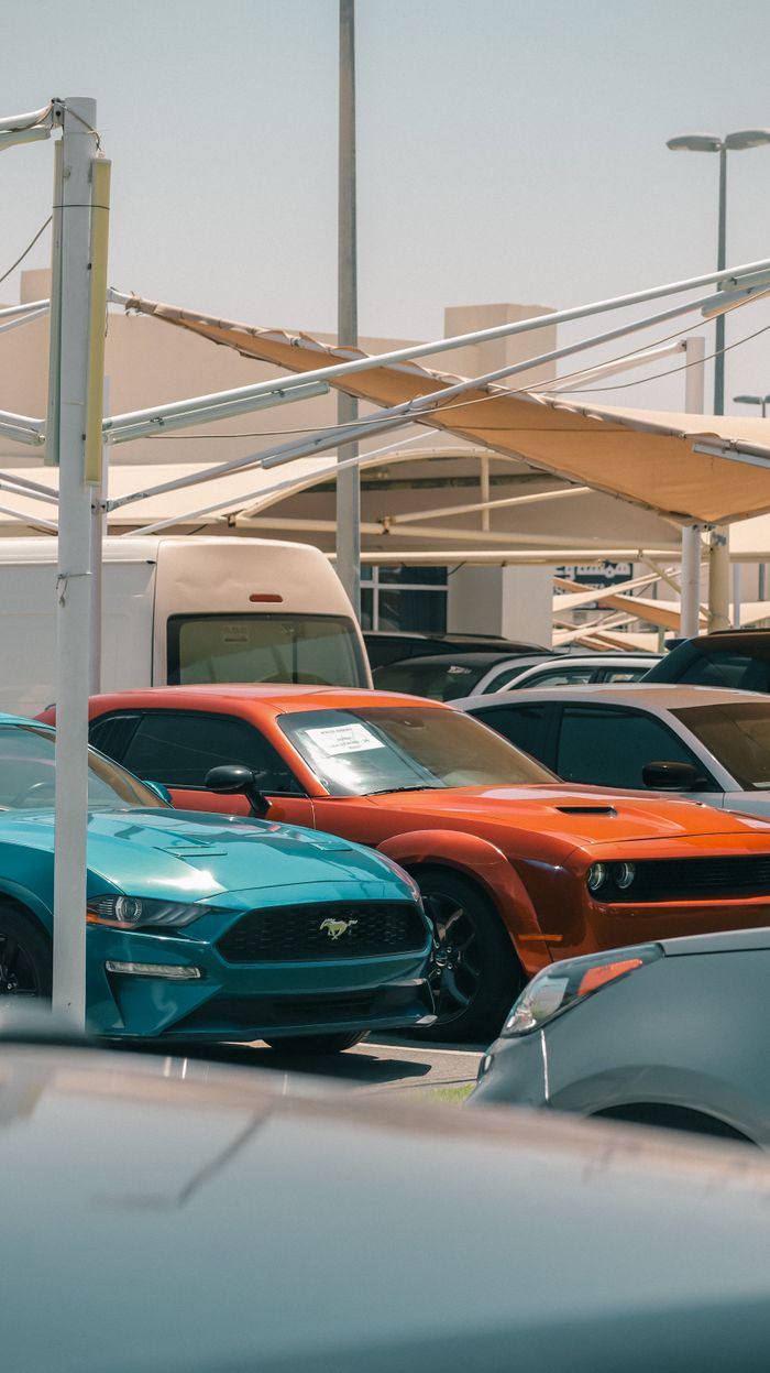 Brightly colored muscle cars in a car dealership parking lot showcasing urban automotive appeal.